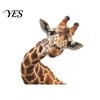 Fun Animal Car Decal Sticker, Waterproof PVC Self-adhesive No Trace Auto Decal, Cartoon Giraffe Pattern Decoration Sticker Interior for Fuel Tank Caps