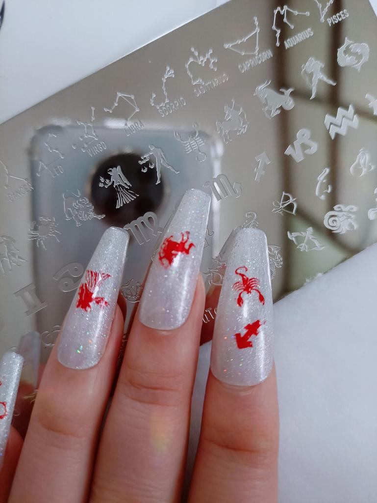 Новые ветки, пластины для штамповки ногтей с птицами, шаблон для дизайна ногтей с благоприятными птицами, штамповка ногтей #077