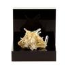 Stones and Minerals - FOR JEWELRY - Siderite, Quartz, Pyrite - 30.9 Ct - Mésage Mine - Rare