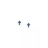 Morellato Tesori Earrings With Blue Cross SAIW219 For Women