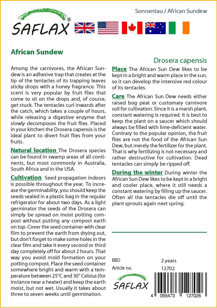 SAFLAX Росянка африканская - 200 семян - Drosera capensis