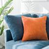 Nordic Simple Office Cushion Square Velvet Pillow Cover Without Insert Waist Pillow Living Room Cushions Pillow Sofa