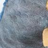 The Access Tyrannosaurus Rex Plush Toy, Dinosaur Toy