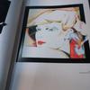 [USED] The Art of Patrick Nagel