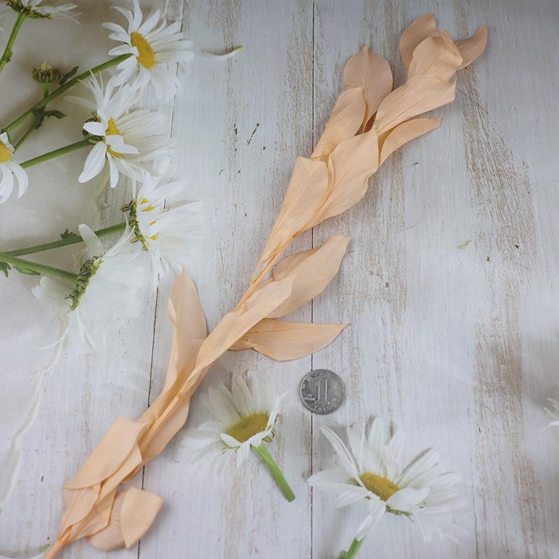DIY Floral Art Ornament: Preserved Tangerine & Fishtail Leaf, Lily, Bamboo Dried Flowers – Ikebana Photo Prop for Home Décor.