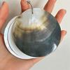 Mini Compact Natural Seashell Notebook Natural Shell Mini Notebook Sketchbook  Personal Use