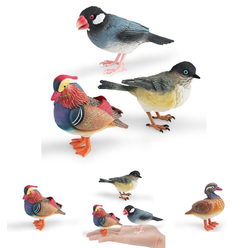 Animal Figure Desk Ornament With Static Design For Science Education And Bird Lovers
