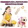 ATAMIRA Robot Cat Toy for Elementary School Students, Music, Dancing, Controller Operated, Kids, Birthday Gift, Christmas Gift