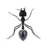 Solar Powered Moving Ant Toy For Kids Solar Energy Science Educational Toy