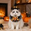 Cat Pumpkin Outfit 1 Set Halloween Costume, Wizard Hat And Lace Bandana, Ruffled Bib Pet Photo Prop with Bow Bell, Holiday Party for Small Dogs, Cats