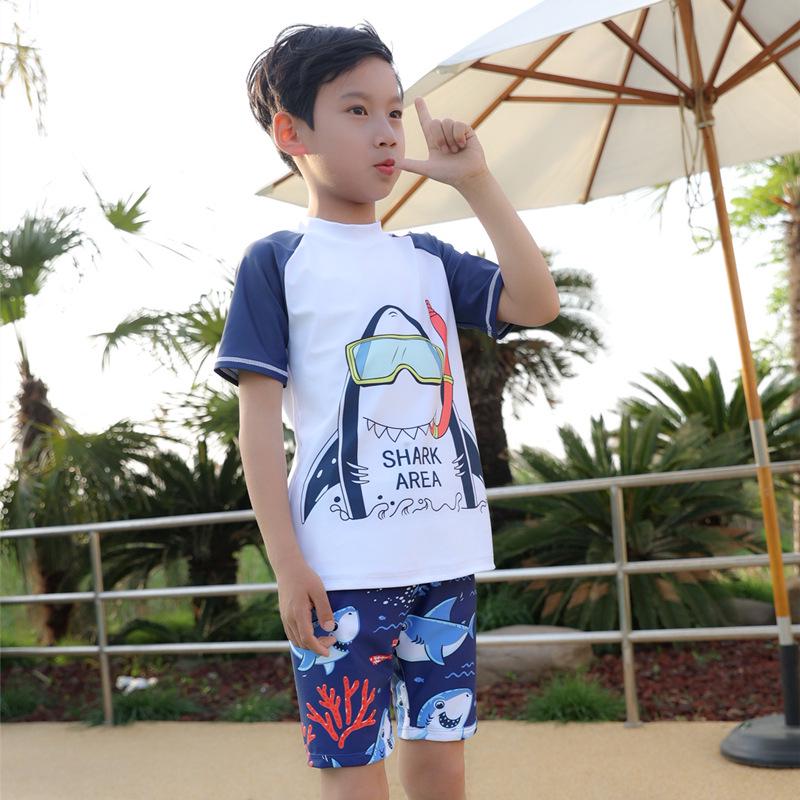 2023 Boys' Quick-Dry Swimwear Set: Split Style Swimsuit with Trunks for Children, Available In Small, Medium, Large