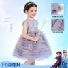 Disney Frozen Elsa Mesh Princess Dress