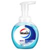 Walch Foam Antibacterial Hand Wash