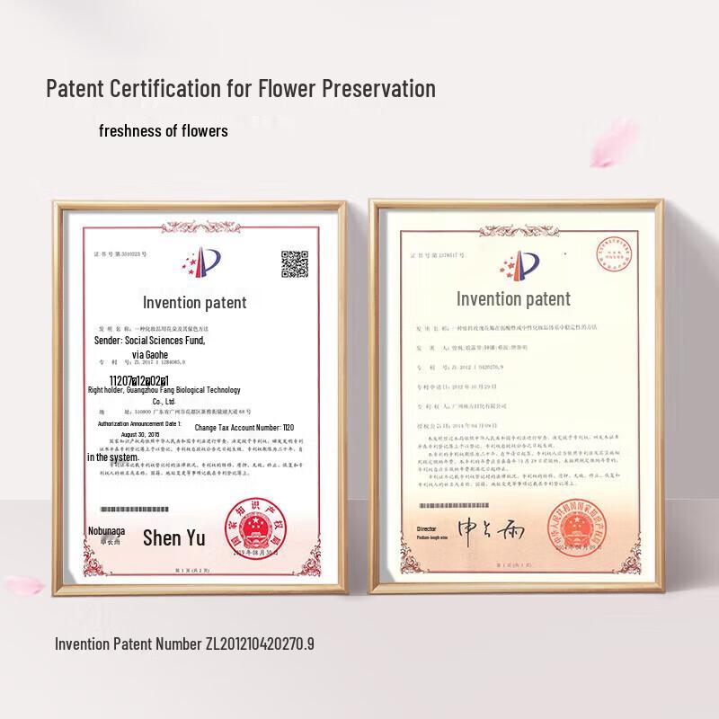 Evening Cherry Blossom Amino Acid Shower Gel (2-Pack)