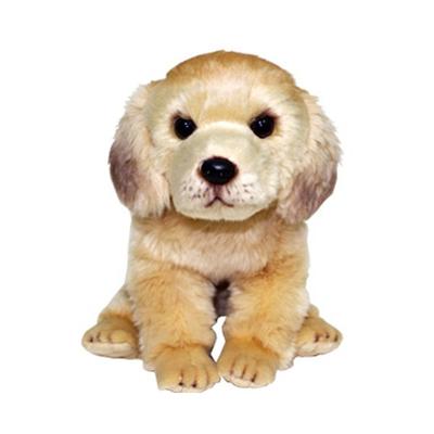 Witherpet Golden Retriever Sitting Puppy Plush, 25 см, разные цвета, Популярные игрушки для корейских детей