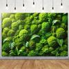 2D Moss Ball Monstera Fern Green Plant Wall Photography Backdrop Jungle Background Banner