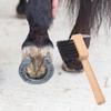 Shoeing Foot Horses Hoof Pick Grooming Brush Horses Grooming Pick Hoof Cleaning Brush  Cattle Goats
