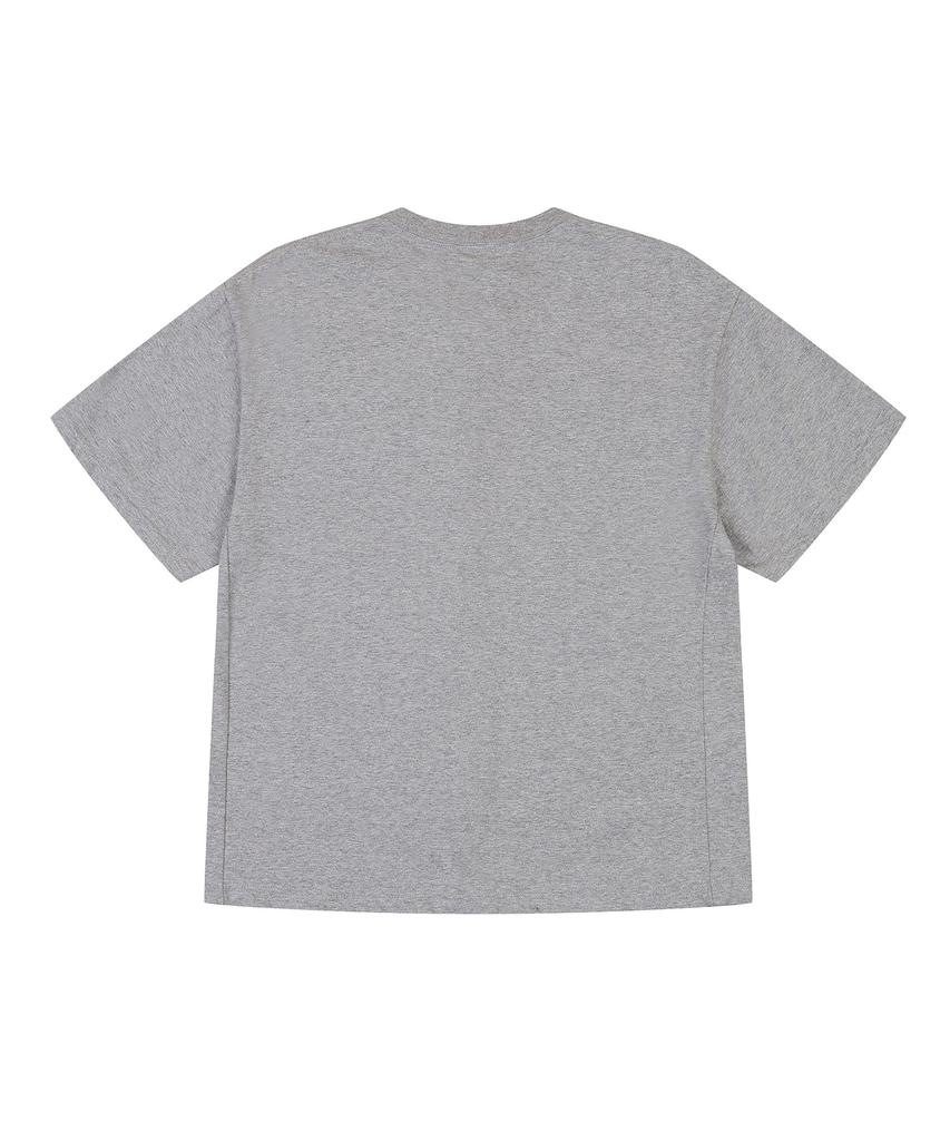 ADERNM Summer Daily Crop T-Shirts (Gray)