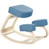 Knee Chair, Ergonomic Seat Stool, Padded Stool for Healthy Sitting Posture, Birch Wood, 120 kg Load Capacity, Blue