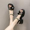 Fairy Wind Sandals Female Skirt 2025 New Summer Thick Heel Platform Flower Beach Shoes Internet Celebrity Roman Shoes Tide