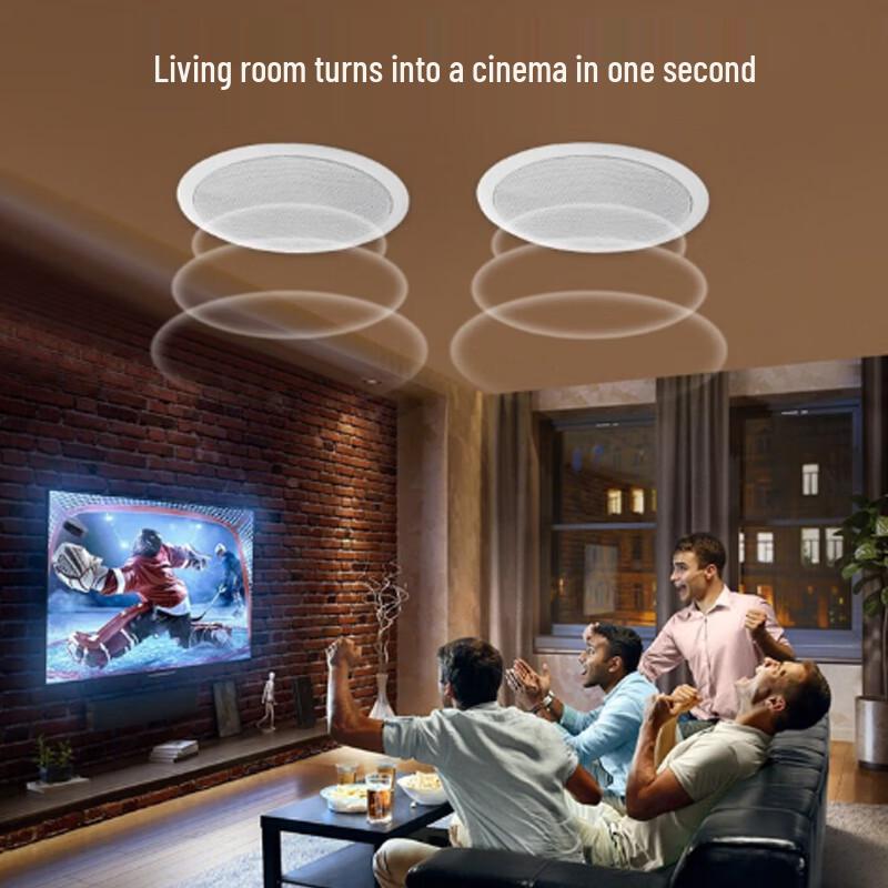 KASOOY Wireless Bluetooth Ceiling Speaker System