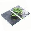 Stylish and Durable Glass Boards with Mint Print and Mortar 2x30x52 Cm
