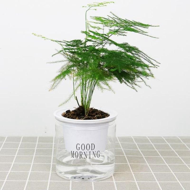 Round Hydroponic Plant Pots Self-watering Flowerpot Flower Pot Creative Succulent Automatic Water Absorption