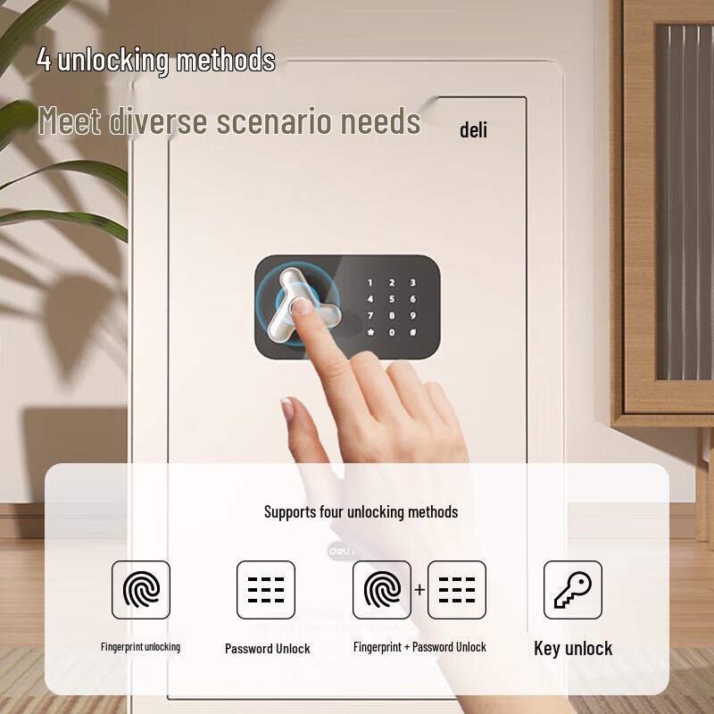 Deli Home Office Fingerprint Password Safe