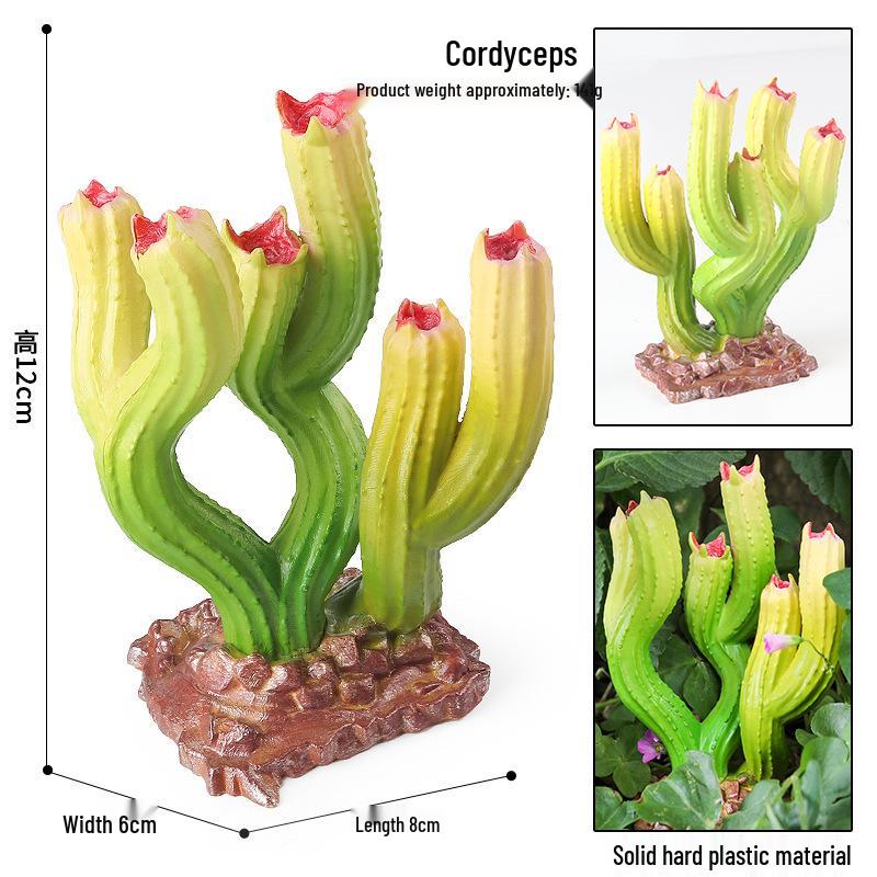 Simulated Vegetables & Mushrooms: Educational Props & Decorative Toys for Kindergarten