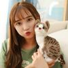 Мягкая плюшевая игрушка сиамских кошек 20/25 см, имитация американской короткошерстной кошки, милые игрушки для домашних животных, реалистичный домашний декор, подарок на день рождения