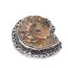 Ammonite Fossil Gemstone 925 Sterling Silver Jewelry Ring Size 6.5