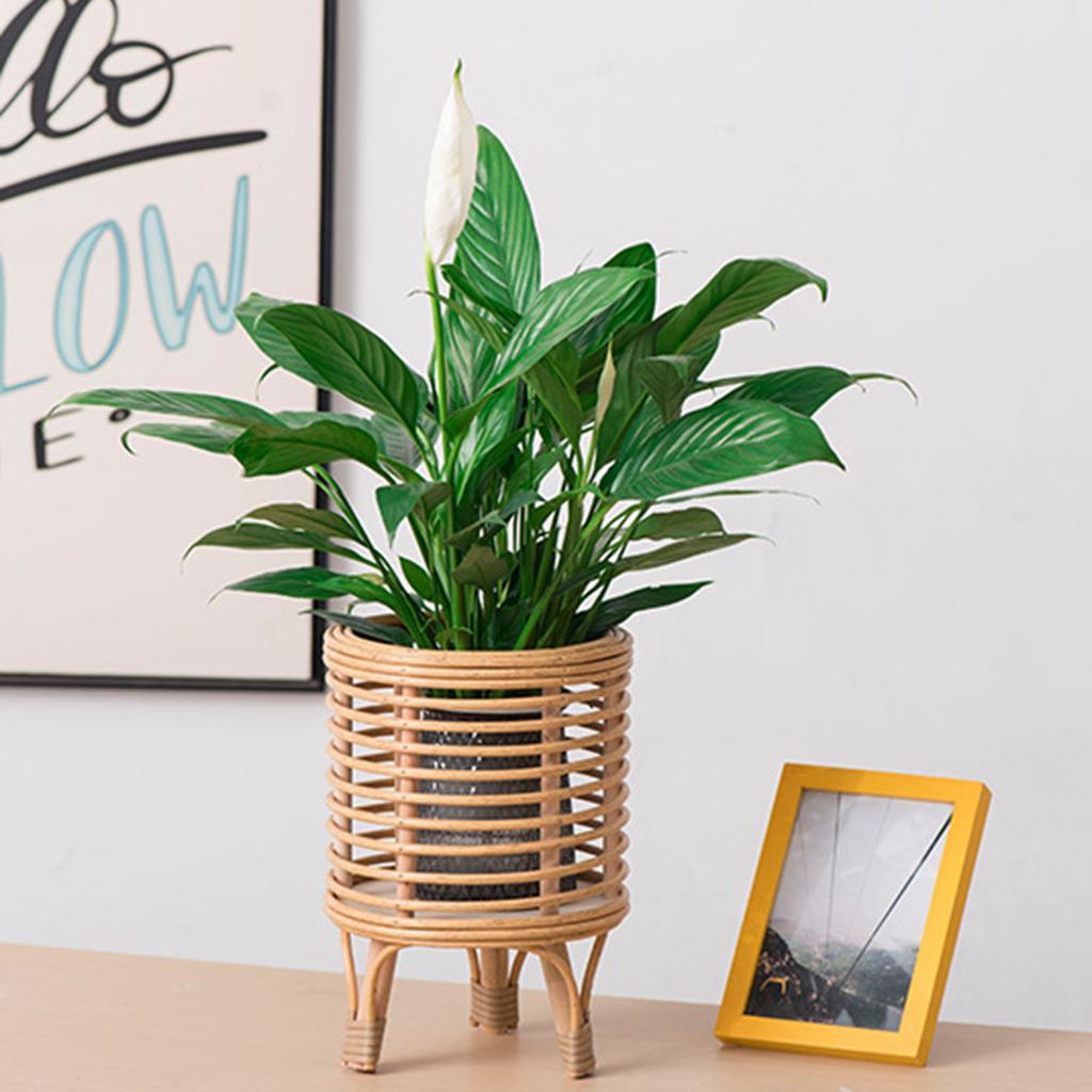 Rattan Style Plant Stand Durable Plastic Flower Pot Holder for Indoor Plants Green Plants