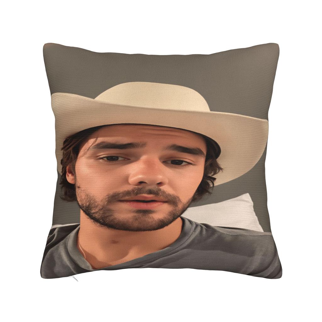 L-Liam Payne Singer Pillow Case Soft Pillow Cover Morden Pillowcases For Living Room Chair