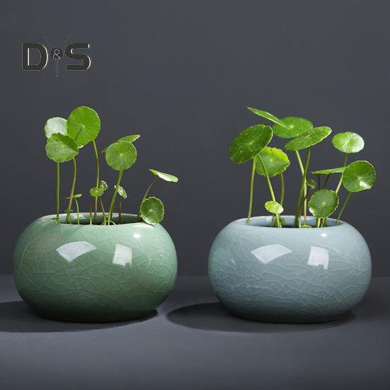 Керамическая чаша для выращивания лотоса, круглый мини-горшок для цветов, глазурованная чаша для бонсай, горшок для посадки щитолистника, небольшие гидропонные растения