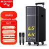 Портативная уличная караоке-колонка SANSUI G26