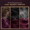 BBLUNT Salon Secret High Shine Conditioning Hair Colour With BondTech™ For Strong Shiny Hair - Wine Deep Burgundy 4.20