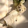 [USED] Vintage Teddy Bear Collection by Overseas Artists - A Gentle Polar Bear