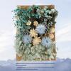 DIY Mixed Pressed Flowers Pack for Photo Frames and Kindergarten Crafts