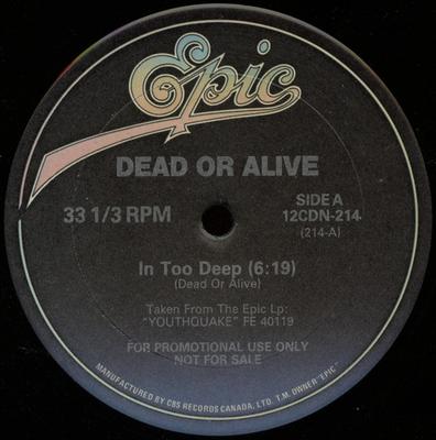 Виниловая пластинка DEAD OR ALIVE  In Too Deep  Lover Come Back To Me 12CDN214PROMO Epic 1985 Канада Танцевальная  Электроника Б/у