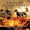 Trail of Adventures by M T Deason Paperback Book 9781648955006