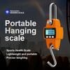 Electronic Crane Scale 300kg-500kg Electronic Scale Hanging Scale Driving Scale Portable Mini Hook Portable Scale