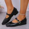 Retro Double-strap Silver Mary Jane Shoes for Women's Autumn and Winter New Square Head Low-heeled Small Leather Shoes Soft-soled Ballet Shoes