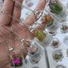 Подвеска Суккулент Мини Суккулент Кактус Брелок Подвеска Растение Брелок Шарм со Стеклянным Куполом Поделки Подарки