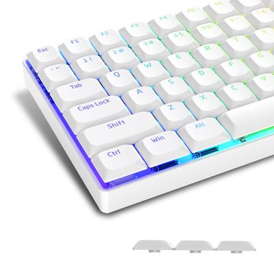 Womier 118 Key Caps PBT Keycaps Пользовательские Keycaps Низкий профиль Совместимость с клавиатурами Универсальный тип Keycaps Set 100%, 75%, 65%, 60% (белый)