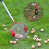 Ball Collector Rolling Nut Gatherer Harvester Ball Picker Adjustable Multi-purpose Outdoor Family Orchards Manual Tools