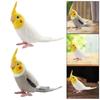 Plastic Bird Sculpture Educational Parrot Ornament Simulation Parrot Figurine  Home Garden