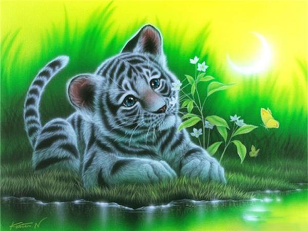 DIY 5d алмазная живопись кошка полная квадратная/круглая дрель Алмазная вышивка крестиком животное мозаика картина домашний декор