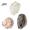 Ocean Inspired Journal Natural Scallop Shell with Handmade Paper Beach-Themed Notebook for Nature Writing Sketching Ocean-Inspired Diary Women