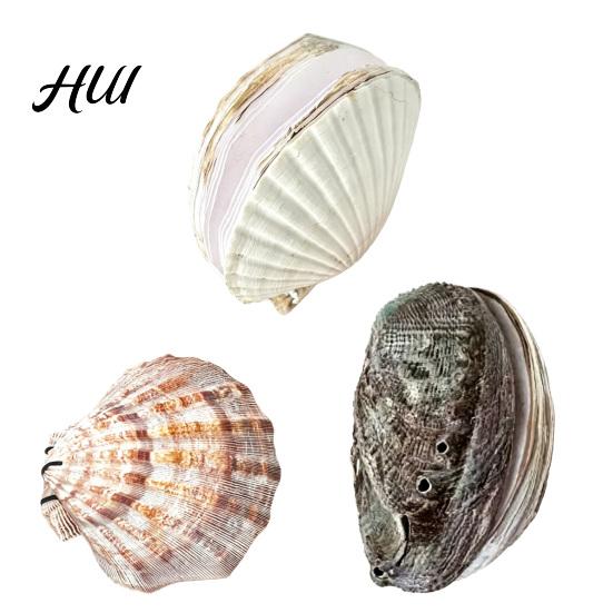 Ocean Inspired Journal Natural Scallop Shell with Handmade Paper Beach-Themed Notebook for Nature Writing Sketching Ocean-Inspired Diary Women