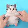 Симуляция кошки, игрушка для сдавливания, снятие стресса, щипок для котенка, сенсорная игрушка для детей